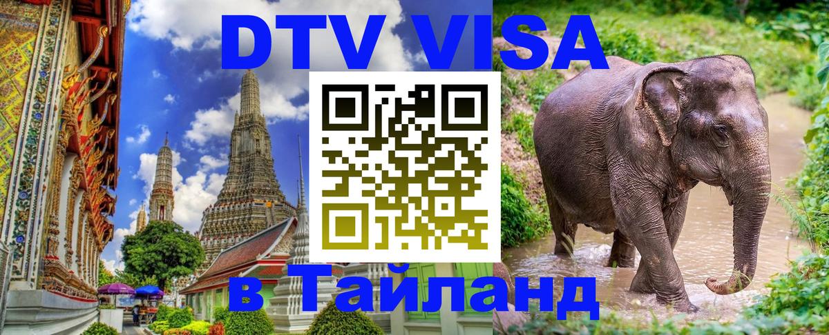 Оформление DTV визы под ключ: стоимость и тарифы, только загранпаспорт - 20.11.2025 